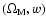 $(\Omega _{\rm M},w)$