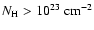 $N_{\rm H}>10^{23}~ \rm cm^{-2}$