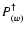 $P^\dagger_{(w)}$