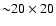 ${\sim }20\times 20$