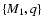 $\{M_1,q\}$