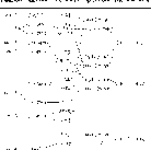 \begin{figure}
\par\includegraphics[width=12cm,clip]{0294fig1.eps}
\end{figure}