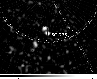 \begin{figure}
\par\resizebox{8.5cm}{!}{\psfig{figure=0813fig2.eps}}
\end{figure}