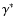 $\gamma ^*$