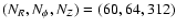 $(N_R, N_\phi, N_Z)=(60,64,312)$