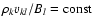 $\rho_k v_{k l}/B_l = {\rm const}$