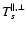 $T_s^{\parallel, \perp}$