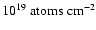$10^{19}~{\rm atoms}~{\rm cm}^{-2}$
