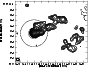 \begin{figure}
\par\includegraphics[width=8cm,clip]{9416f18.ps}
\end{figure}