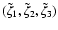 $(\tilde{\zeta}_1, \tilde{\zeta}_2, \tilde{\zeta}_3)$
