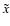 $\tilde{x}$