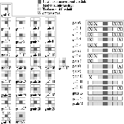 \begin{figure}
\par\includegraphics[height=16cm,width=16cm,clip]{1157fig5.ps}
\end{figure}