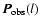 $\vec{P}_{{\rm obs}}(l)$