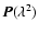 $\vec{P}(\lambda^2)$