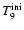 $T_9^{{\rm ini}}$