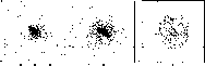 \begin{figure}
\par\includegraphics[width=16.5cm,clip]{0339fig8.eps}
\end{figure}