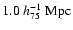 $1.0~h^{-1}_{75}~{\rm Mpc}$