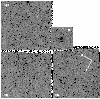 \begin{figure}
\par\includegraphics[width=8.8cm]{0725mosa.ps}
\end{figure}