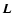 $\vec{L}$