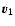 $\vec{v_1}$