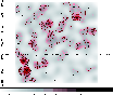 \begin{figure}
\par\includegraphics[width=9cm]{0567fig4CMYK.eps}
\end{figure}
