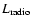 $L_{\rm radio}$