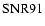 ${\rm SNR 91 }$