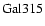 ${\rm Gal 315 }$
