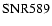 ${\rm SNR 589}$