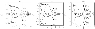 \begin{figure}
\par\includegraphics[width=16.5cm,clip]{0149fig02.eps}
\end{figure}