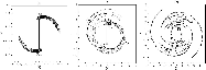 \begin{figure}
\par\includegraphics[width=16.5cm,clip]{0149fig01.eps}
\end{figure}