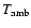 $T_{\rm amb}$