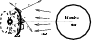 \begin{figure}
\par\includegraphics[width=8cm,height=3.5cm,clip]{1063fi1.eps}
\end{figure}
