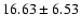 $16.63 \pm 6.53$