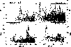 \begin{figure}
\par\includegraphics*[angle=0, width=9cm]{0575Fig23-NEW.eps}
\end{figure}