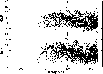 \begin{figure}\par\includegraphics*[angle=0, width=9cm]{0575Fig25-NEW.eps}\par\end{figure}