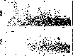 \begin{figure}
\par\includegraphics*[angle=0, width=9cm]{0575Fig2-NEW.eps}
\end{figure}