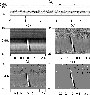 \begin{figure}
\par\includegraphics[width=8.5cm,clip]{0583fig2.eps}
\end{figure}