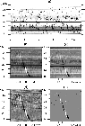 \begin{figure}
\par\includegraphics[width=8.5cm,clip]{0583fig5.eps}
\end{figure}