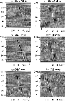 \begin{figure}
\par\includegraphics[width=8.5cm,clip]{0583fi10.eps}
\end{figure}