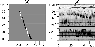 \begin{figure}
\par\includegraphics[width=8.5cm,clip]{0583fi11.eps}
\end{figure}