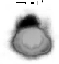 \begin{figure}
\par\includegraphics[width=4.8cm,clip]{0632fig14.eps}
\end{figure}
