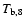 $T_{\rm b,8}$