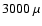$3000~\mu$