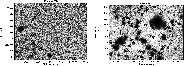 \begin{figure}
\par\includegraphics[width=7.8cm,clip]{0156fig4l.ps}\hspace*{4mm}
\includegraphics[width=8cm,clip]{0156fig4r.ps}
\end{figure}