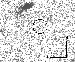 \begin{figure}
\par\includegraphics[width=6.6cm,keepaspectratio=1]{0156figA1.eps}
\end{figure}