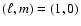$(\ell ,m) = (1,0)$