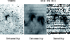 \begin{figure}
\par\includegraphics[width=8.8cm,clip]{1329fig2.eps}
\end{figure}