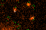 \begin{figure}
\par\includegraphics[width=8cm,clip]{0794fig4.ps}
\end{figure}