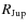 $R_{\rm {Jup}}$